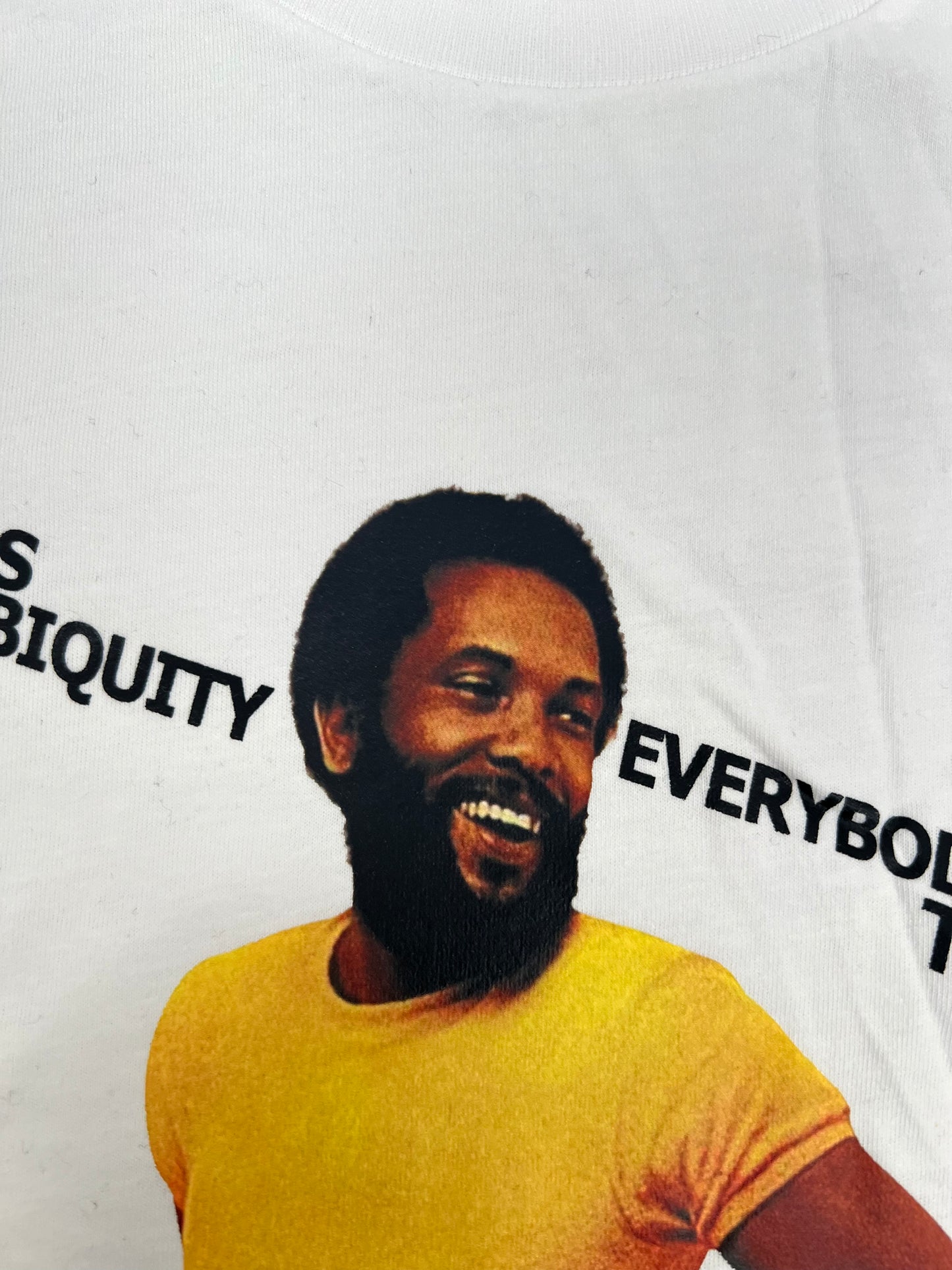 Roy Ayers Ubiquity – Everybody Loves the Sunshine T-Shirt