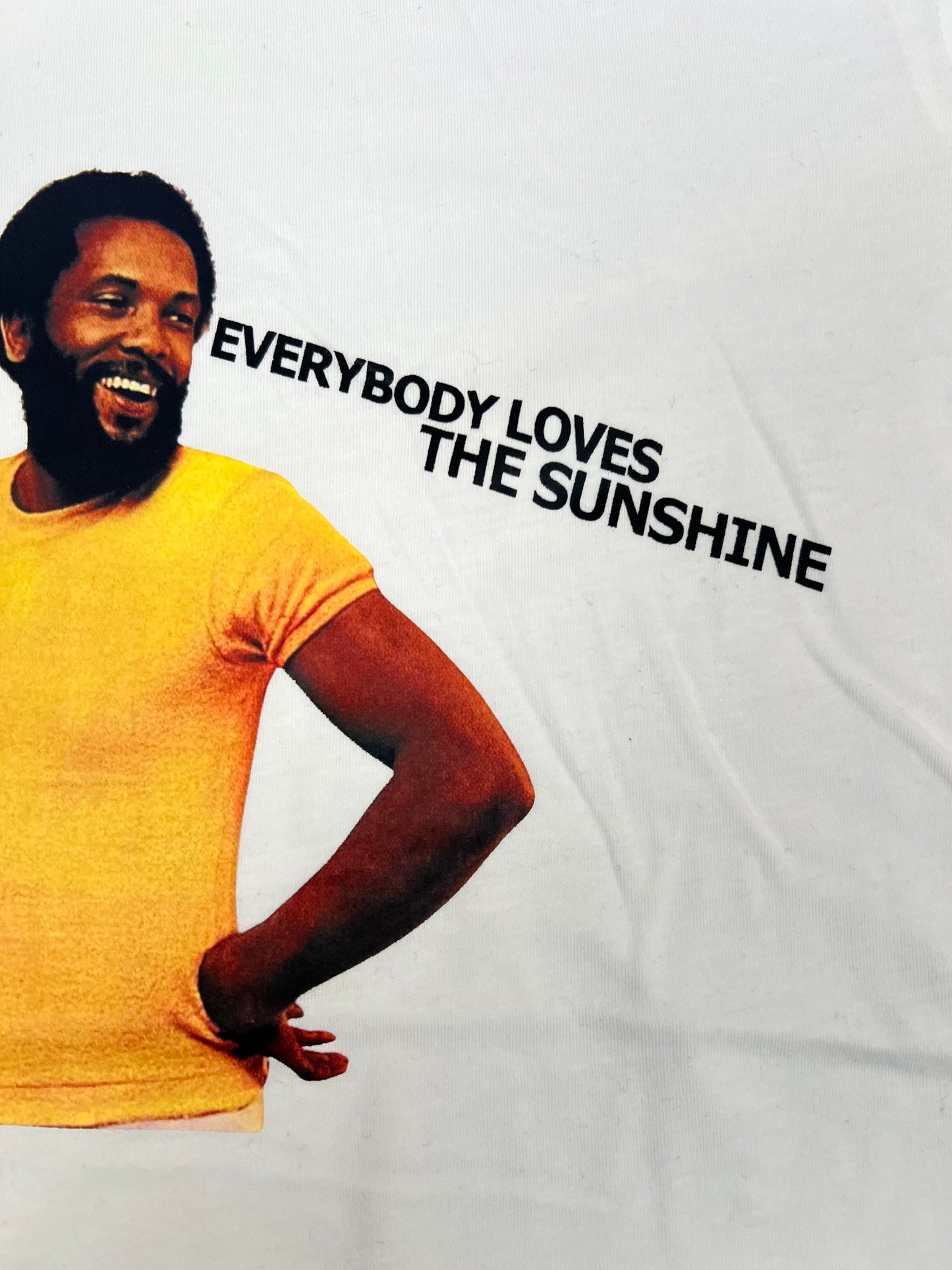 Roy Ayers Ubiquity – Everybody Loves the Sunshine T-Shirt