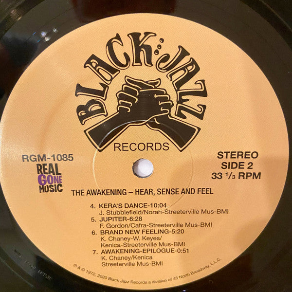 The Awakening (4) : Hear, Sense And Feel (LP, Album, RE, RM)