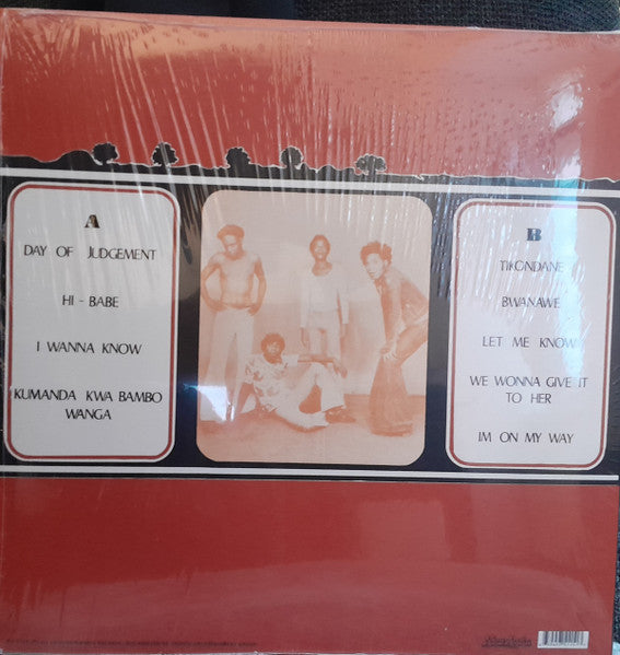 Ngozi Family : Day Of Judgement (LP, Album, RE, RP)
