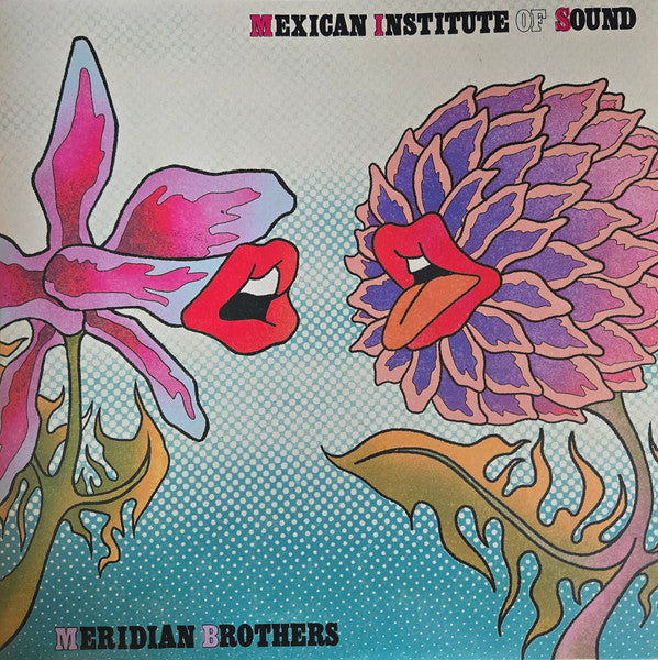 Mexican Institute Of Sound, Meridian brothers : Ruido Tovar (LP)
