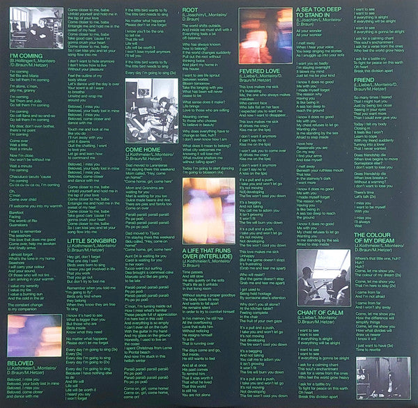 Curió Curió : Curió Curió (LP, Album)