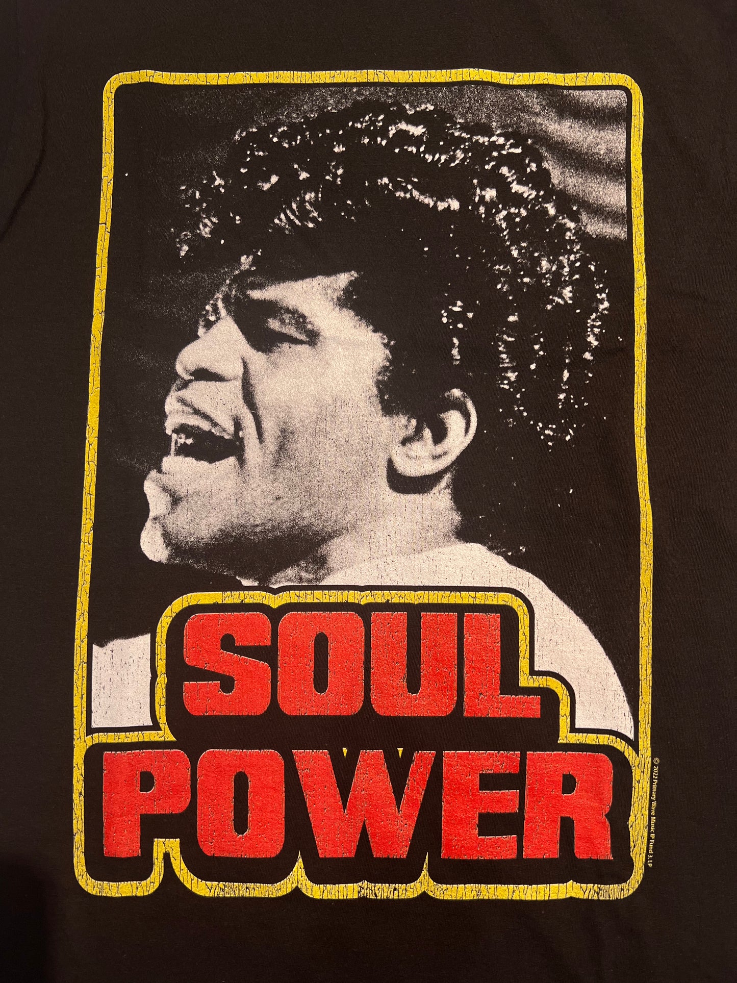 James Brown “Soul Power” Vintage Tee – Officially Licensed