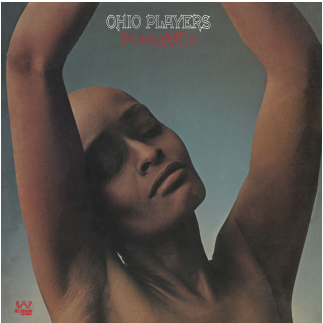 Ohio Players - Pleasure (LP) Silver Colored Vinyl Record Reissue